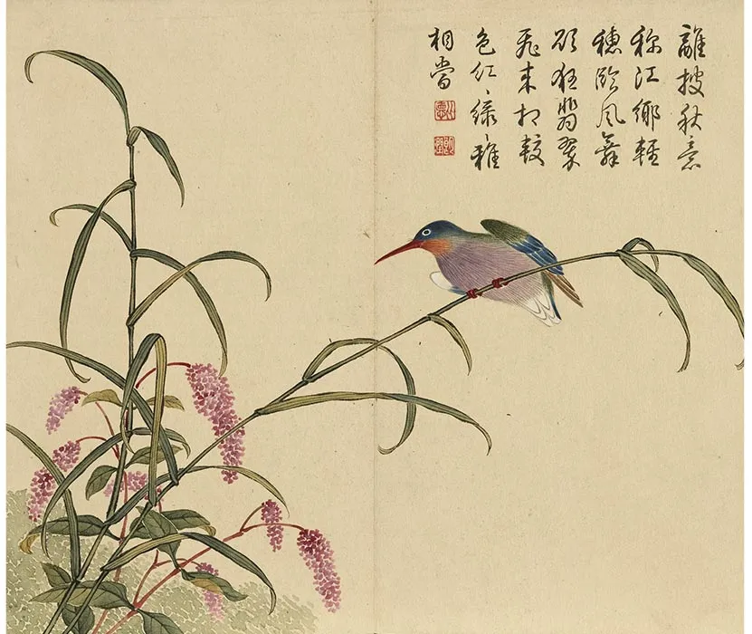 杨大章没骨花鸟画册_04