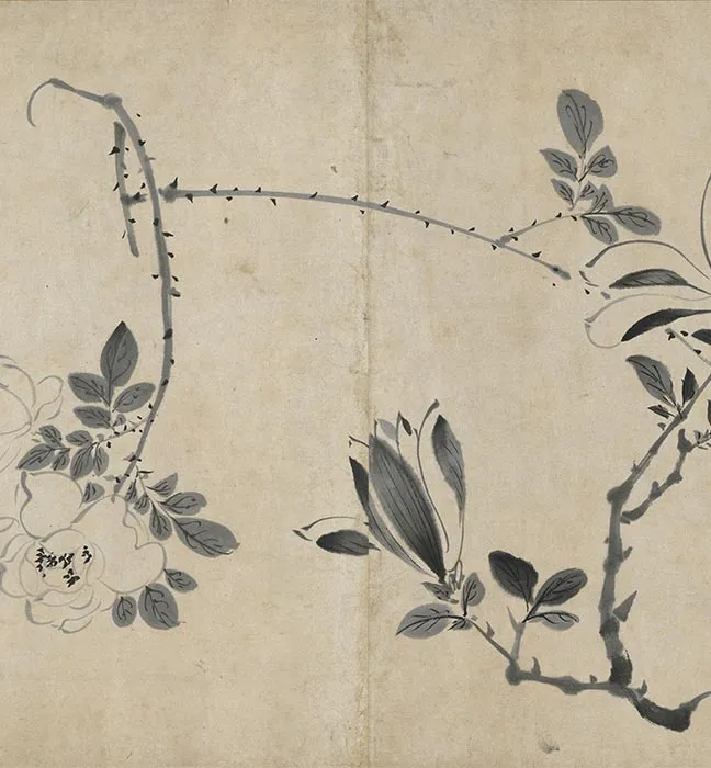 陈淳水墨画花卉卷_17