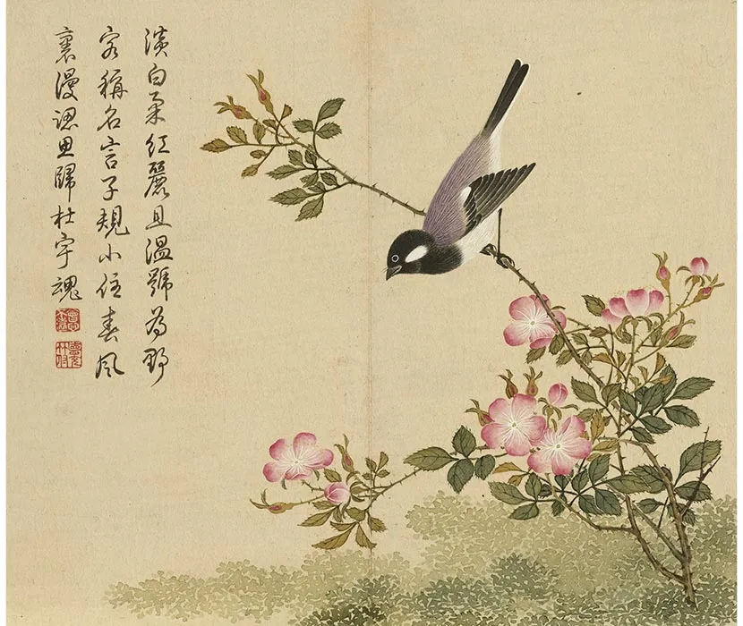 杨大章没骨花鸟画册_06