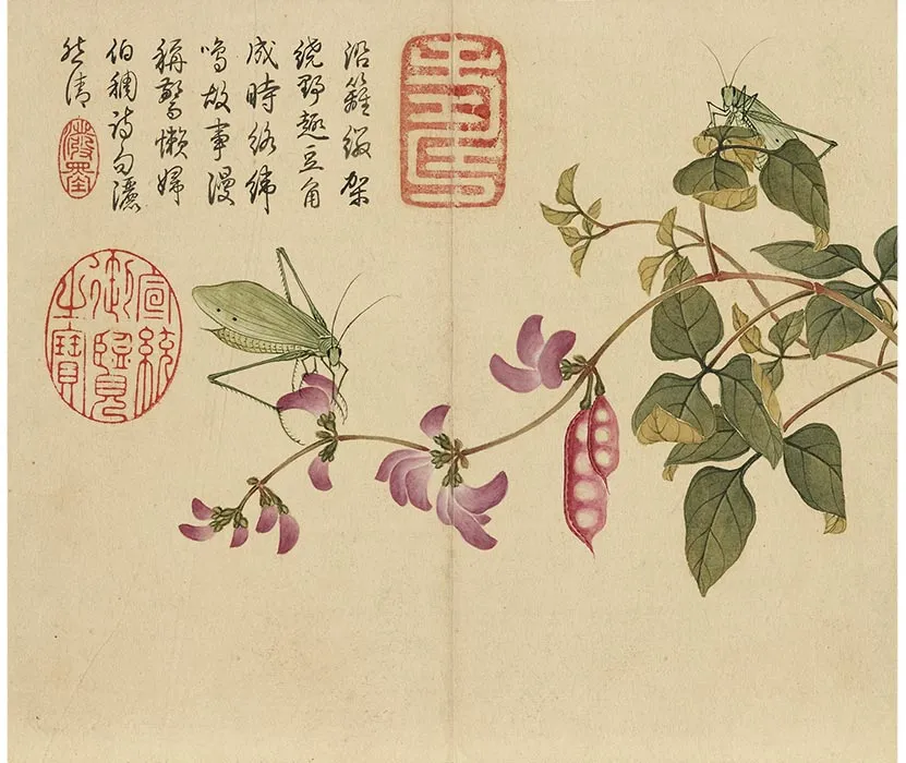 杨大章没骨花鸟画册_11