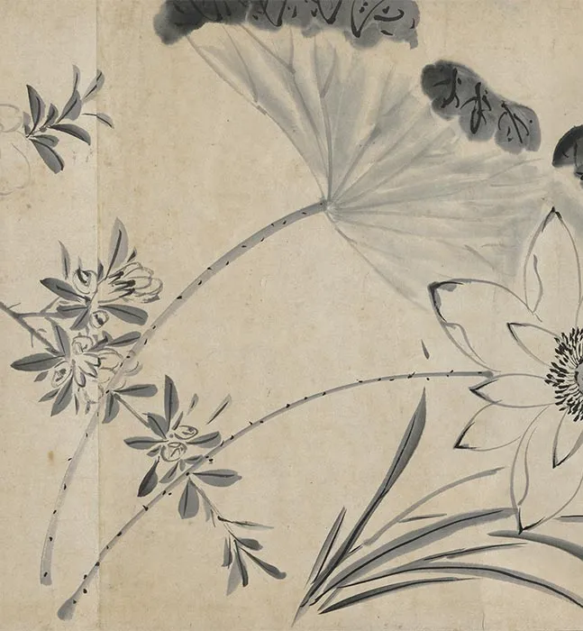 陈淳水墨画花卉卷_13