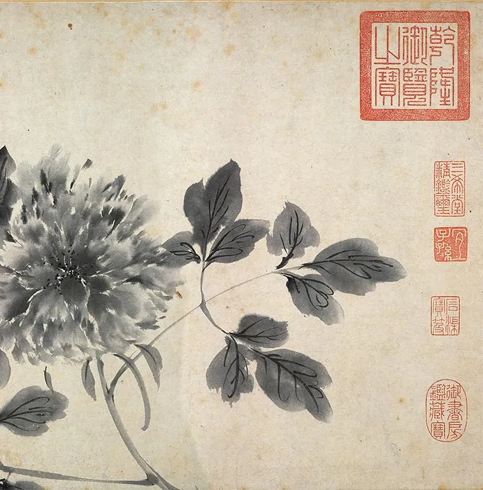 陈淳书画合璧《草书水墨花卉写生图》卷_20