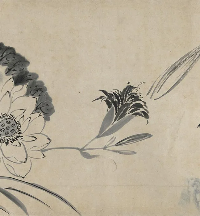 陈淳水墨画花卉卷_14