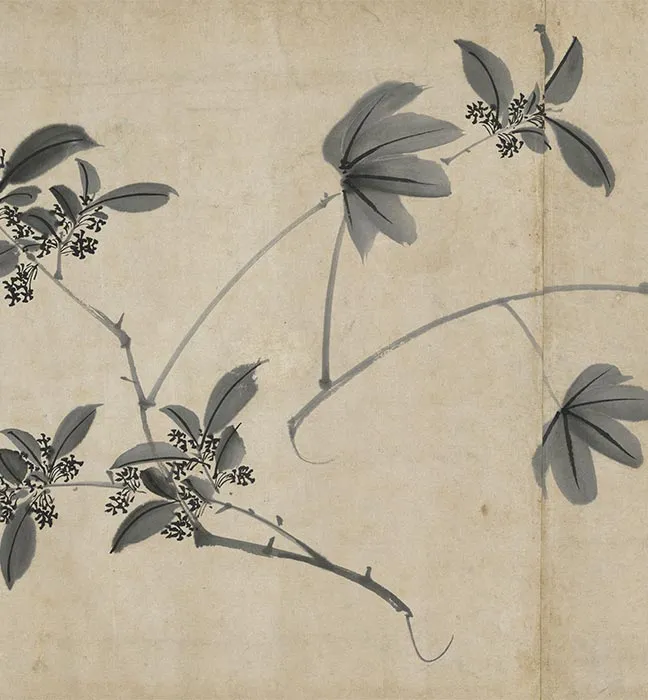陈淳水墨画花卉卷_08