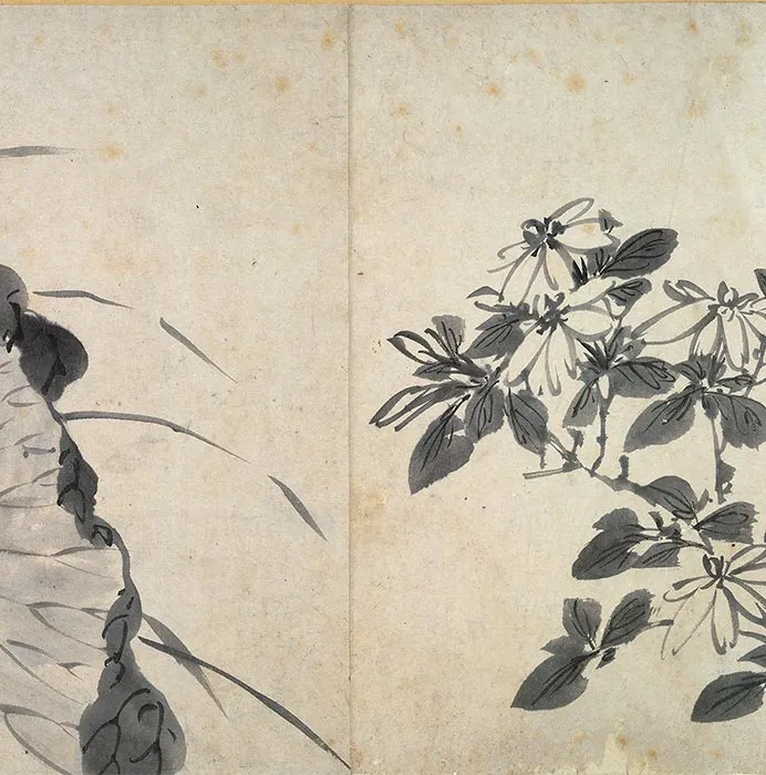 陈淳书画合璧《草书水墨花卉写生图》卷_17