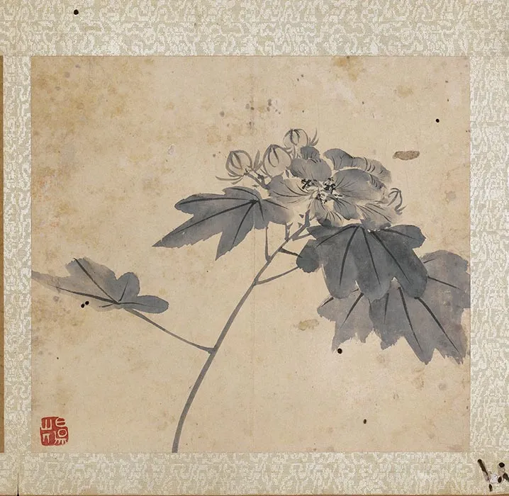 陈淳水墨画花卉册_08