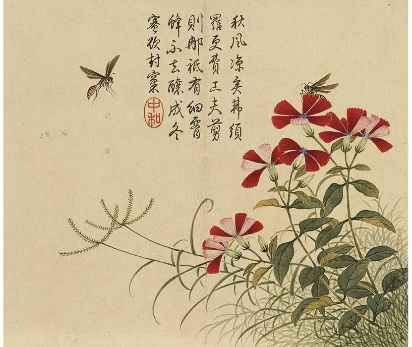 杨大章没骨花鸟画册_05
