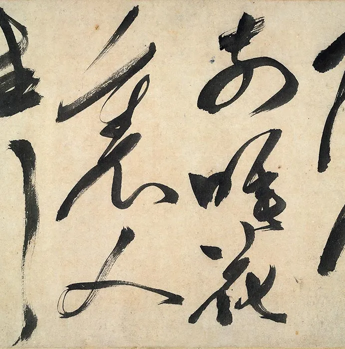 陈淳书画合璧《草书水墨花卉写生图》卷_06