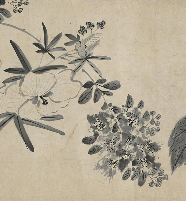 陈淳水墨画花卉卷_10
