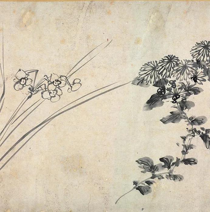 陈淳书画合璧《草书水墨花卉写生图》卷_15