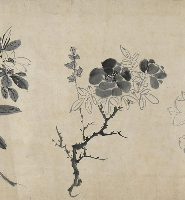 陈淳水墨画花卉卷_16