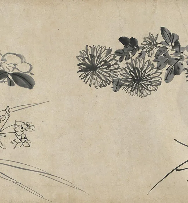 陈淳水墨画花卉卷_06