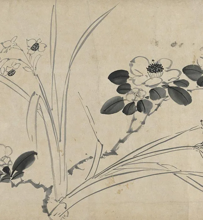 陈淳水墨画花卉卷_05