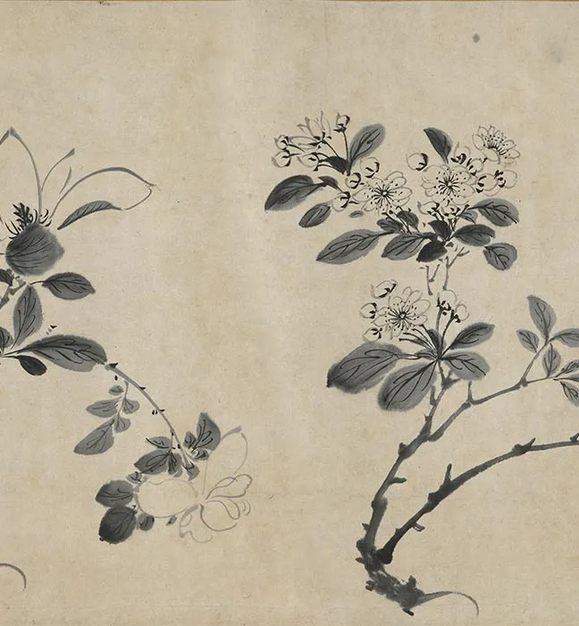 陈淳水墨画花卉卷_18