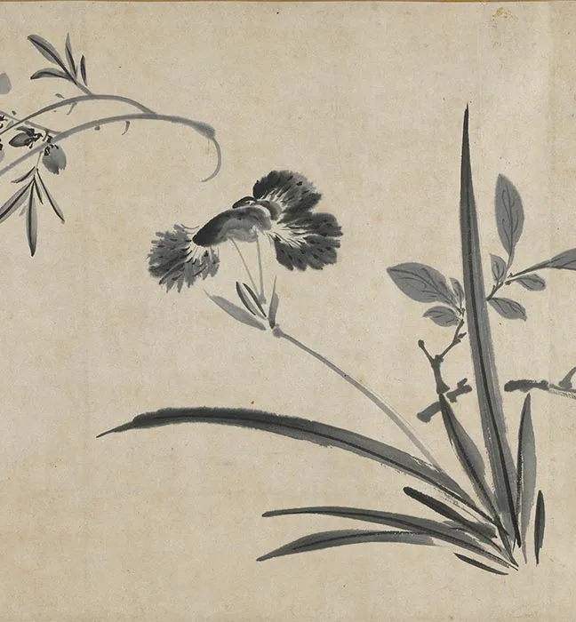 陈淳水墨画花卉卷_20