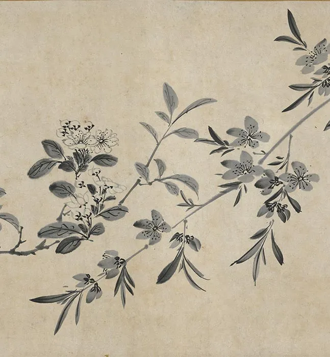 陈淳水墨画花卉卷_19