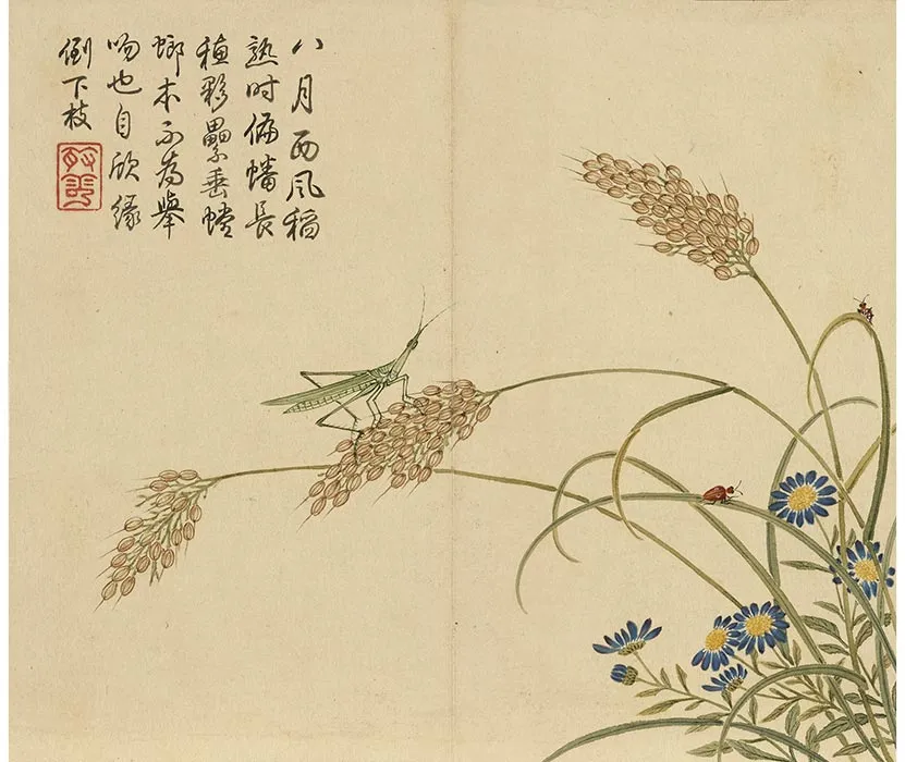 杨大章没骨花鸟画册_09