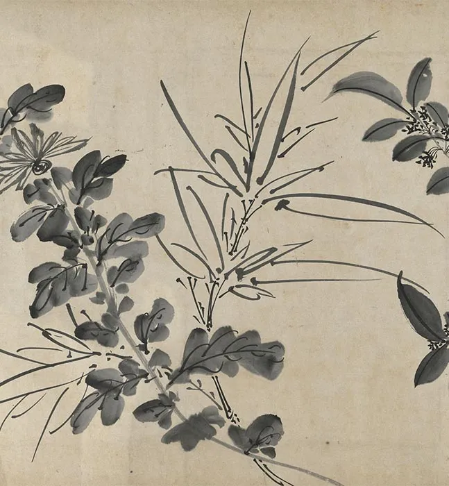 陈淳水墨画花卉卷_07