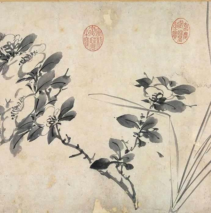 陈淳书画合璧《草书水墨花卉写生图》卷_14