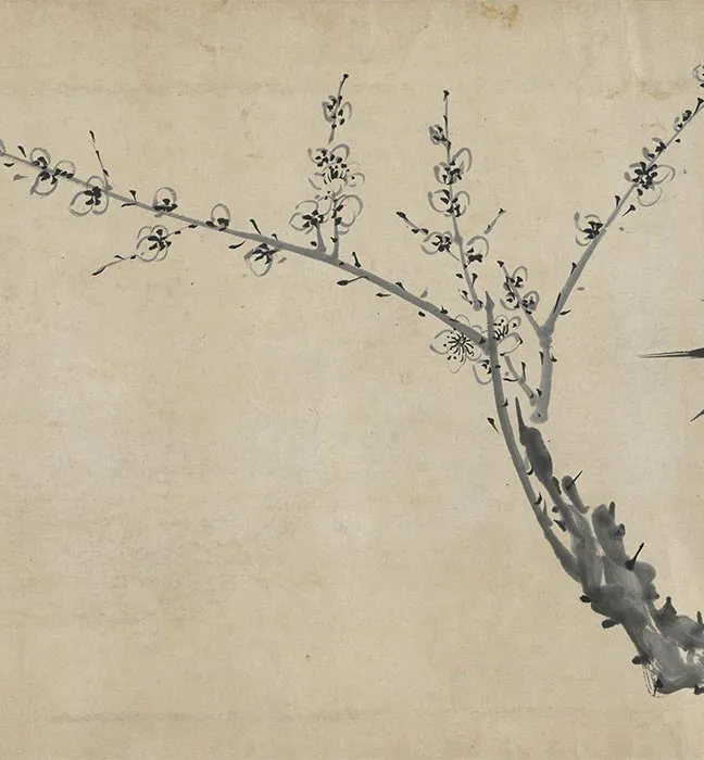 陈淳水墨画花卉卷_03