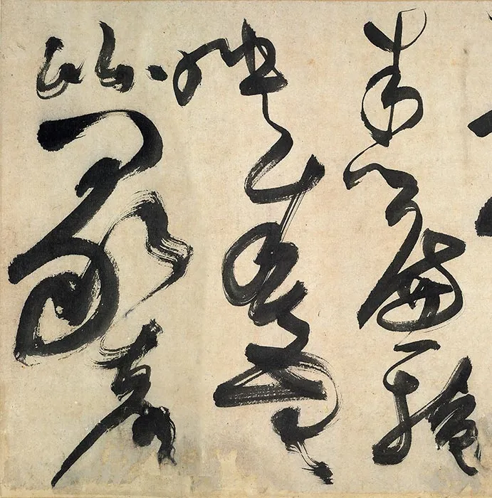 陈淳书画合璧《草书水墨花卉写生图》卷_08