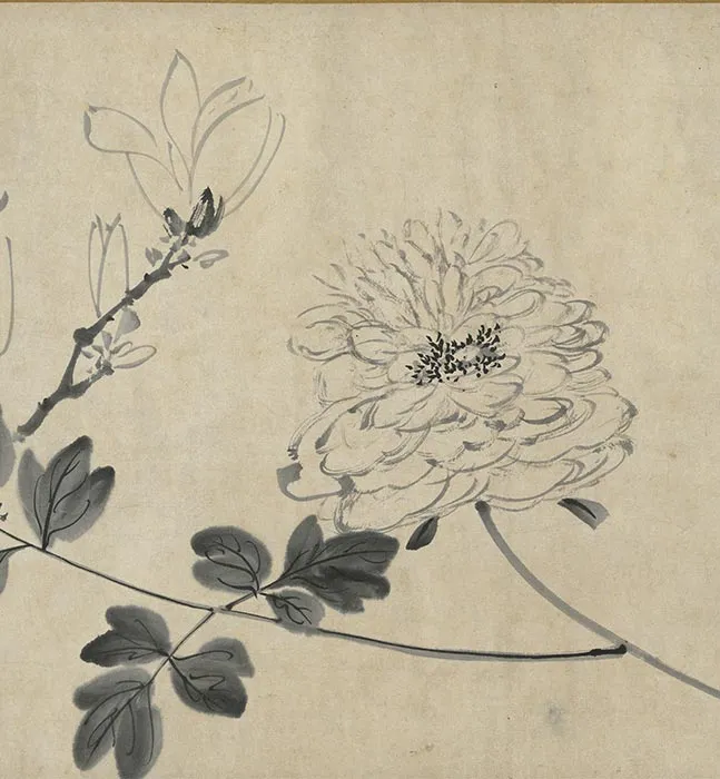 陈淳水墨画花卉卷_24