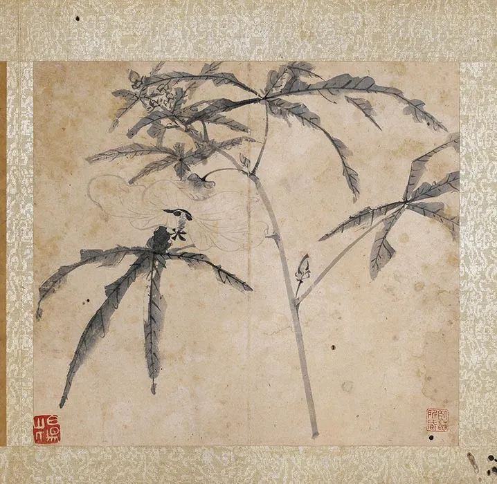 陈淳水墨画花卉册_10