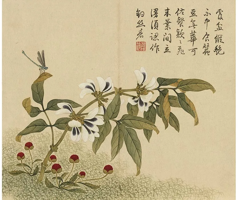 杨大章没骨花鸟画册_07