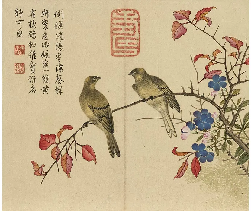 杨大章没骨花鸟画册_02