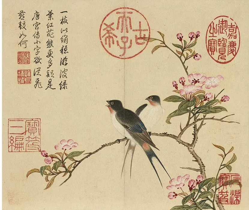 杨大章没骨花鸟画册_12