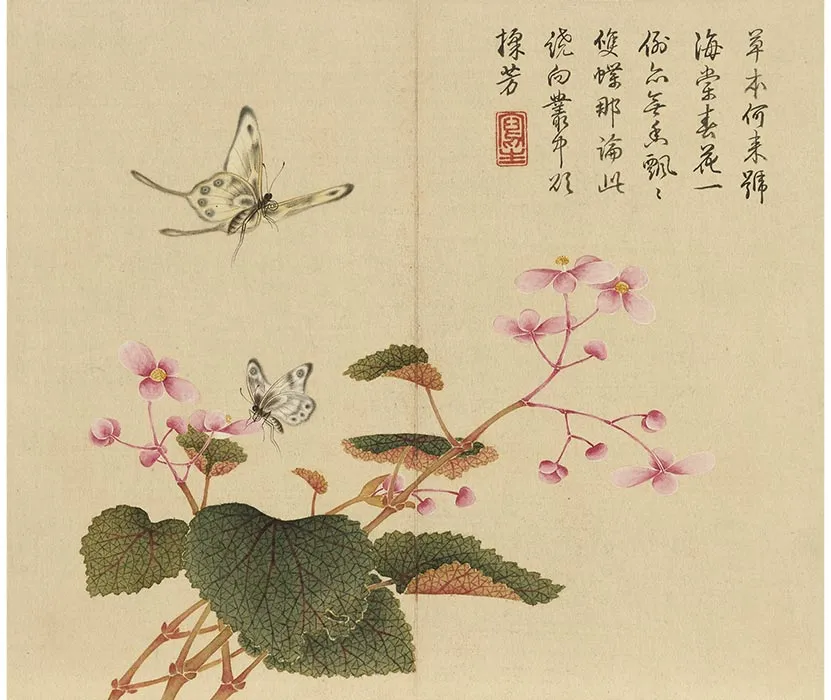 杨大章没骨花鸟画册_03