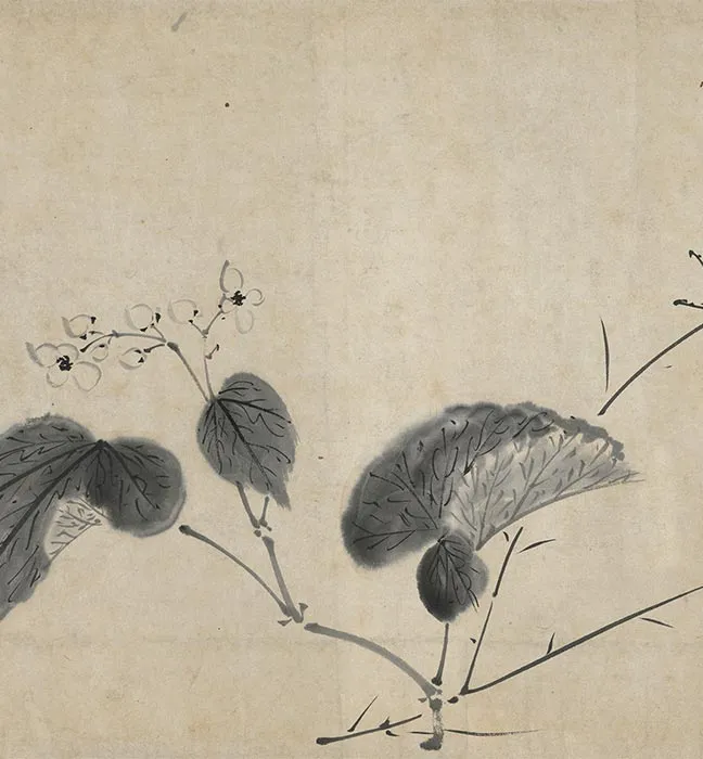 陈淳水墨画花卉卷_11