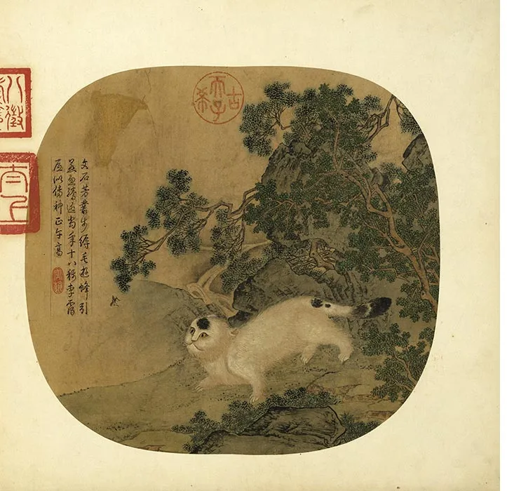 传唐刁光胤写生花卉册_12