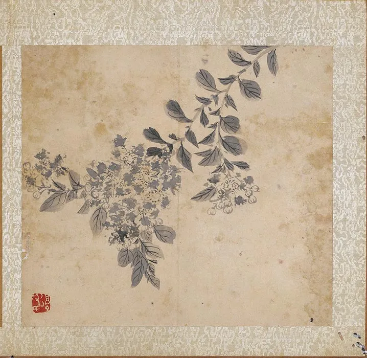 陈淳水墨画花卉册_12