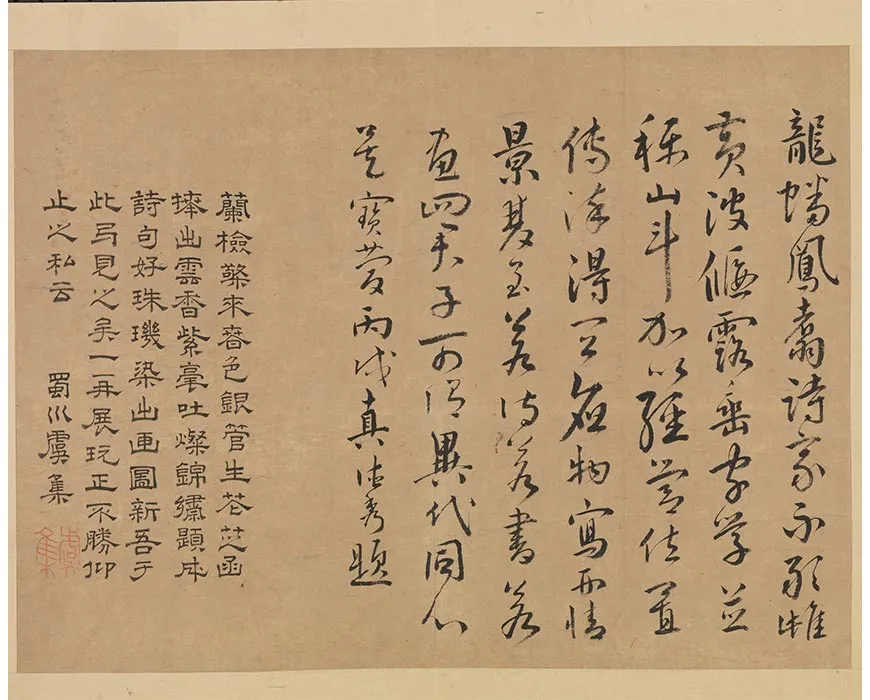 后副葉-(4)
