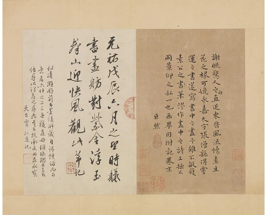 后副葉-(3)