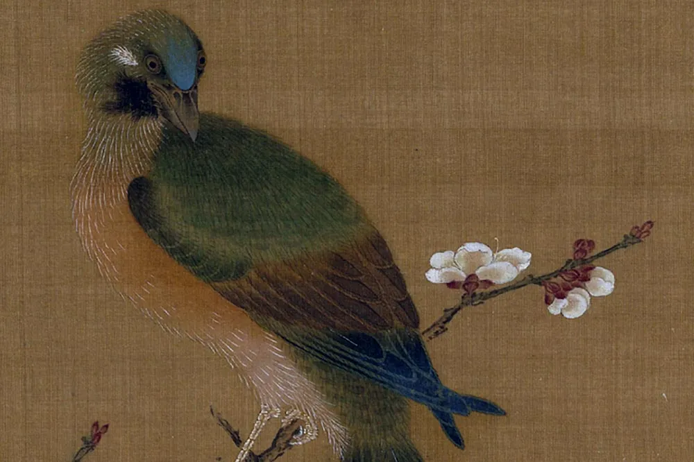 黄筌工笔花鸟画《白梅山鸟图》团扇页- 国画作品高清大图下载- 集古作网