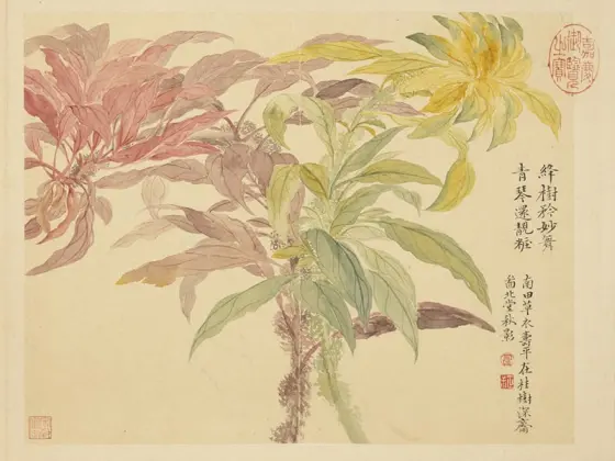 老翁 花卉圖 故宮精品網路商城- B4圖卡-畫花卉蝴蝶花遍地錦