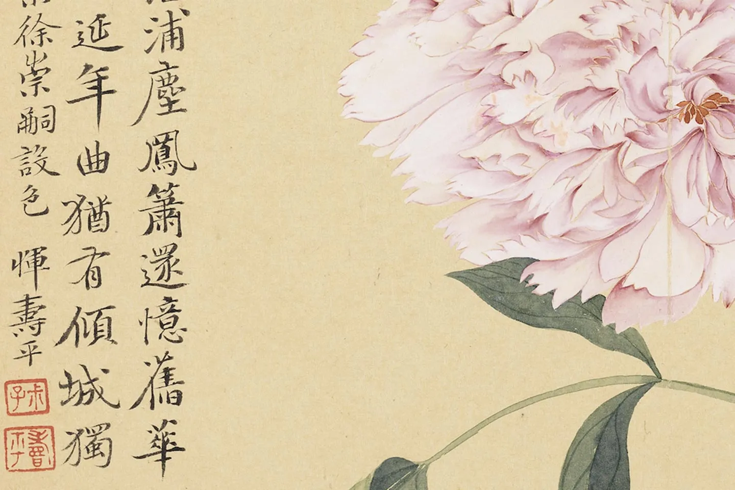 恽寿平没骨工笔花卉《牡丹花》页- 国画高清图片下载- 集古作网