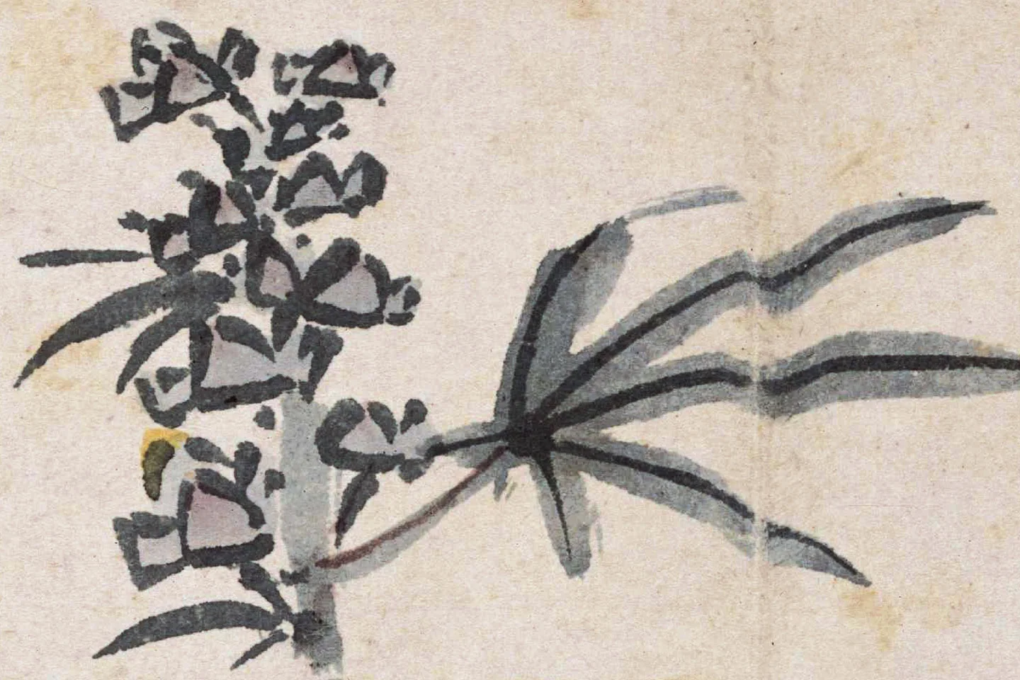沈周花卉画《秋葵图》页- 国画作品高清大图下载- 集古作网