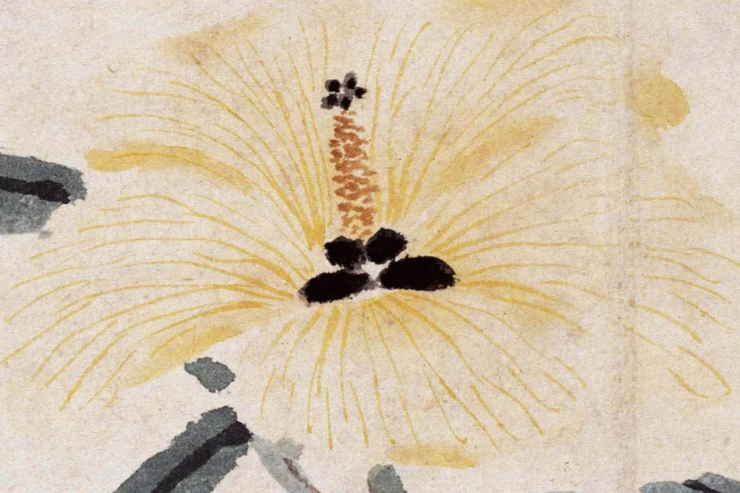 沈周花卉画《秋葵图》页- 国画作品高清大图下载- 集古作网