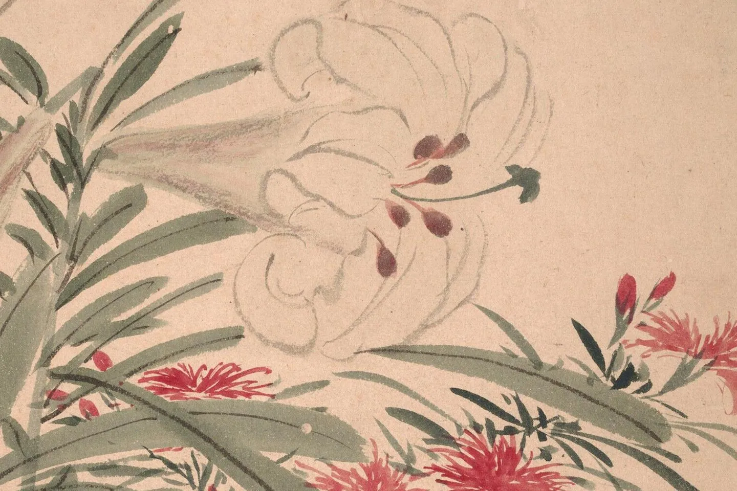 传陈淳《杂花图》册(共21开) - 国画作品高清大图下载- 集古作网