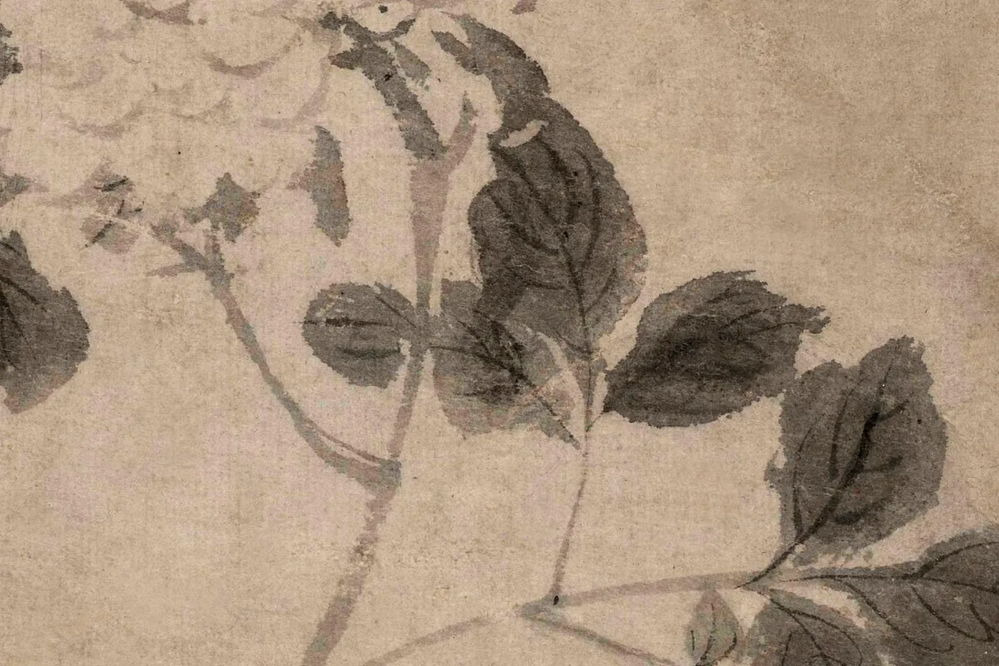 陈淳《牡丹花卉图》轴- 国画高清图片下载- 集古作网