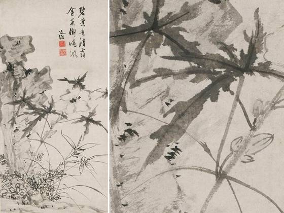 陈淳水墨花卉《葵石图》