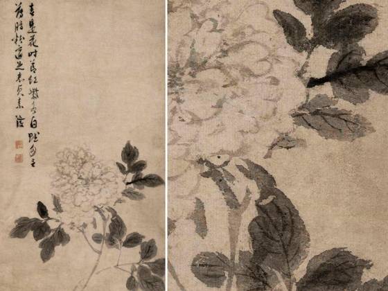 陈淳《牡丹花卉图》轴