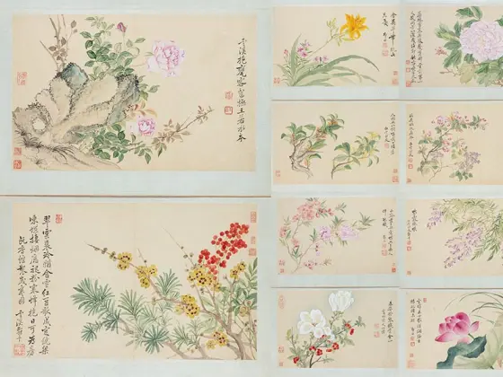 花卉圖2 花鸟图2