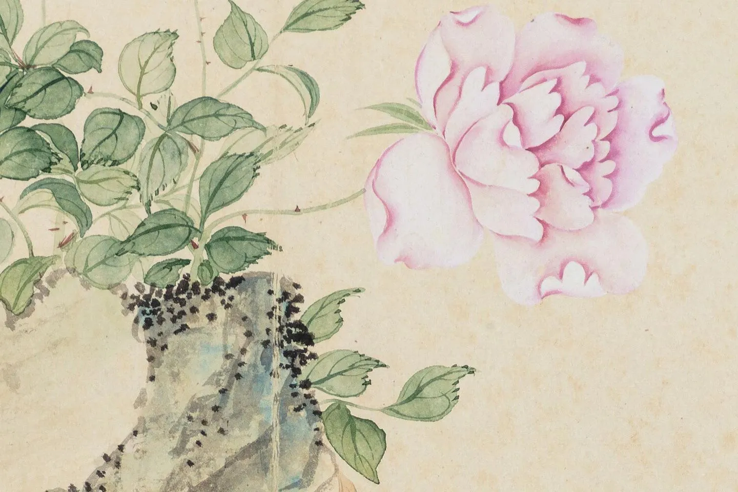 恽寿平花卉册(10幅) - 国画高清图片下载- 集古作网