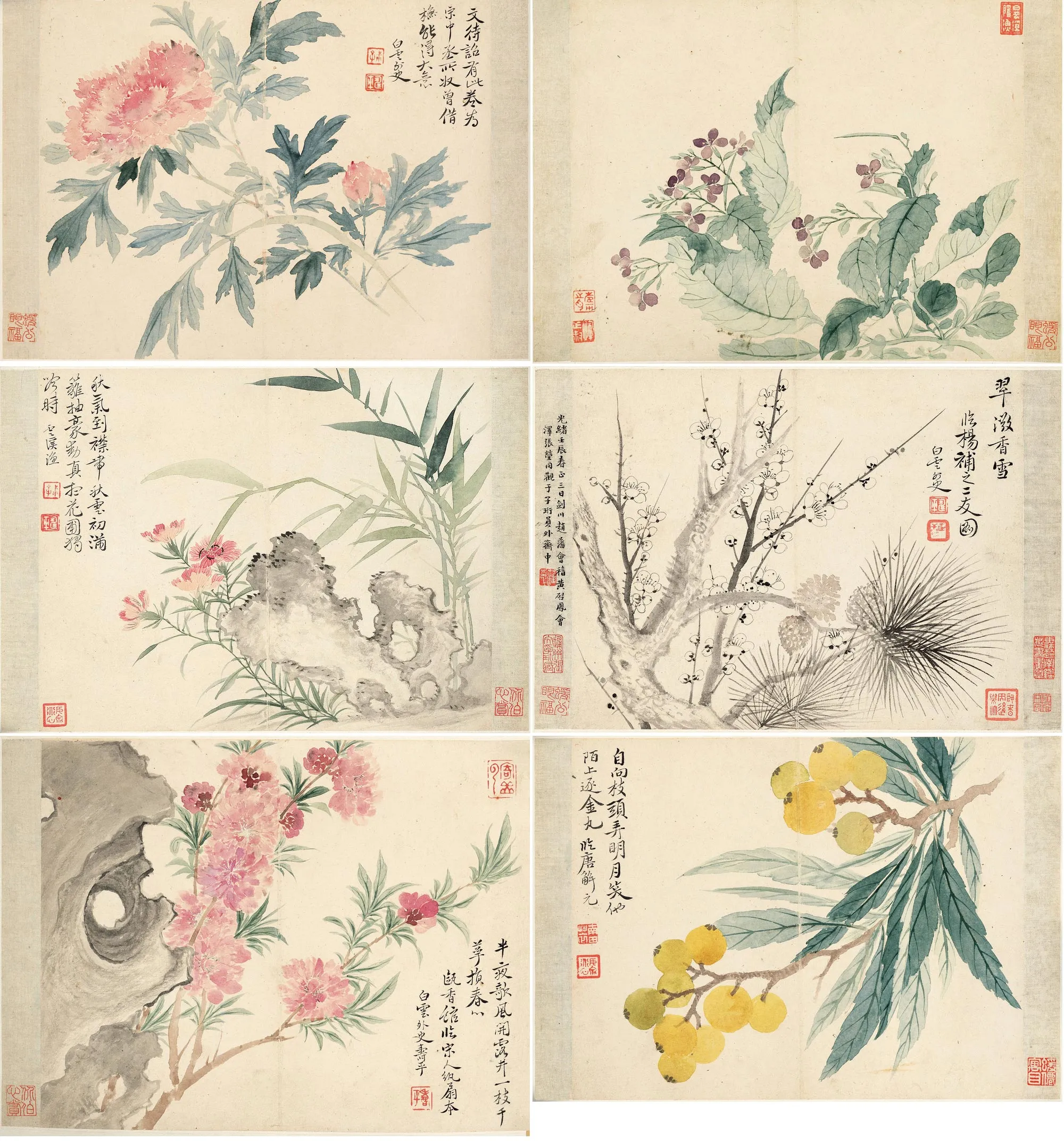 恽寿平花果《瓯香馆写生册》_02