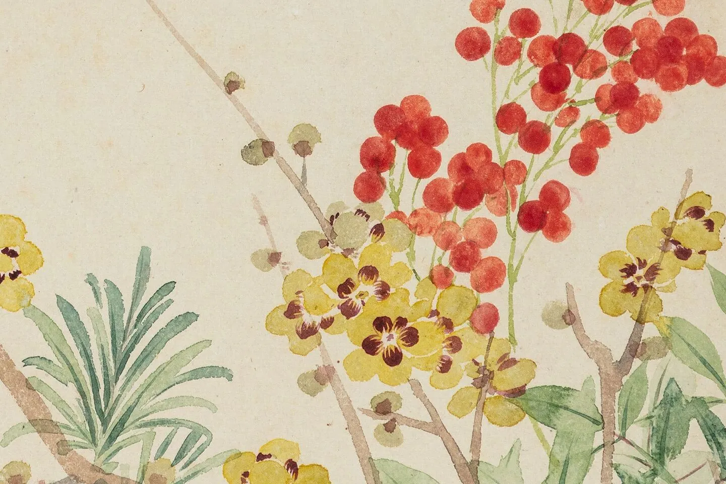 恽寿平花卉册(10幅) - 国画高清图片下载- 集古作网