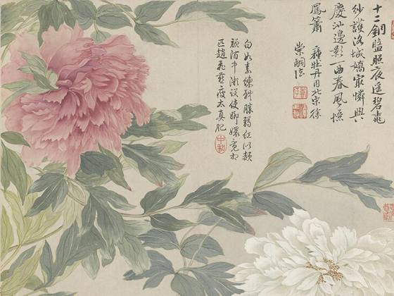 恽寿平花卉《牡丹图》页